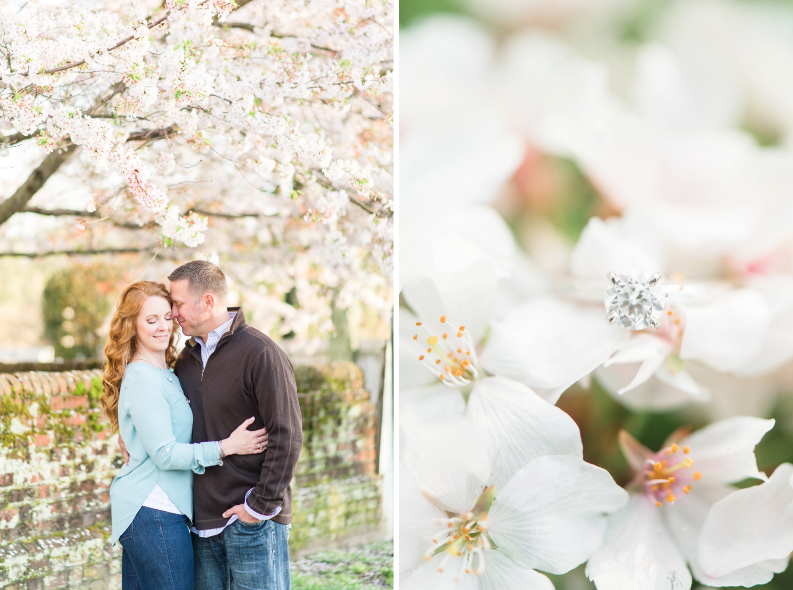yorktown beach spring cherry blossom and beach engagements by virginia wedding photographer