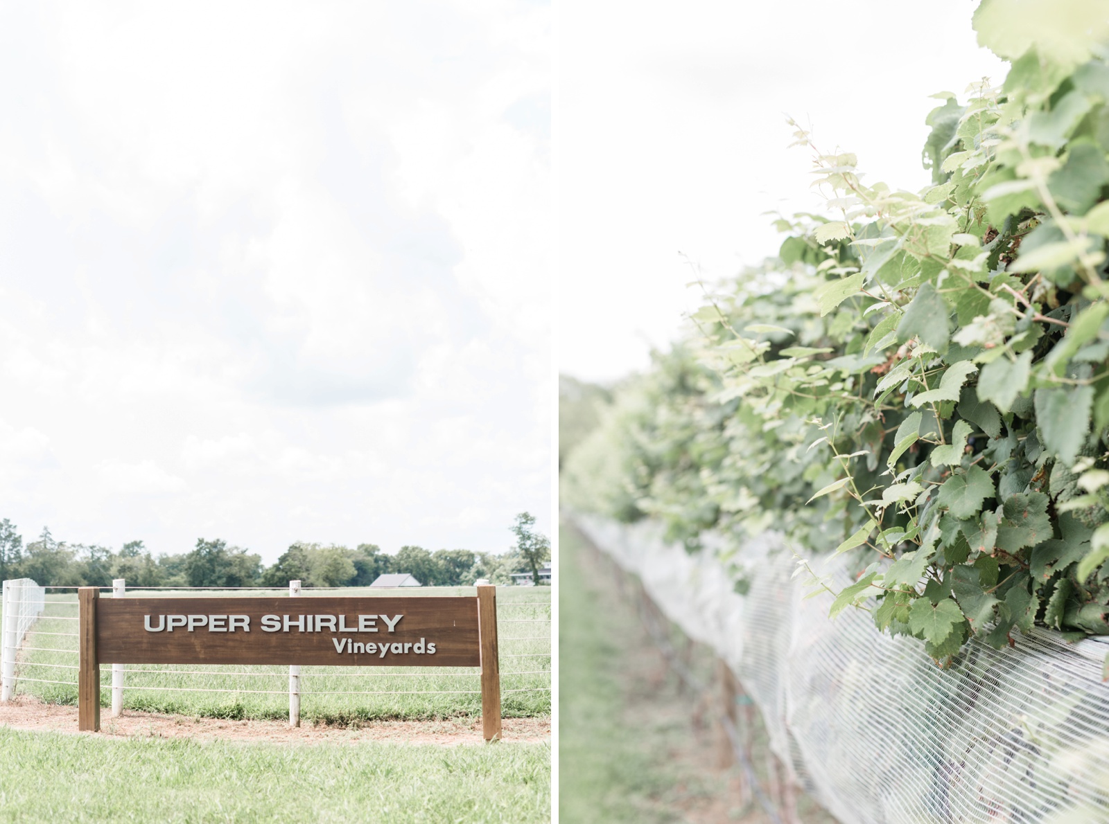 upper-shirley-vineyards-richmond-virginia-southern-wedding-photo_1169.jpg
