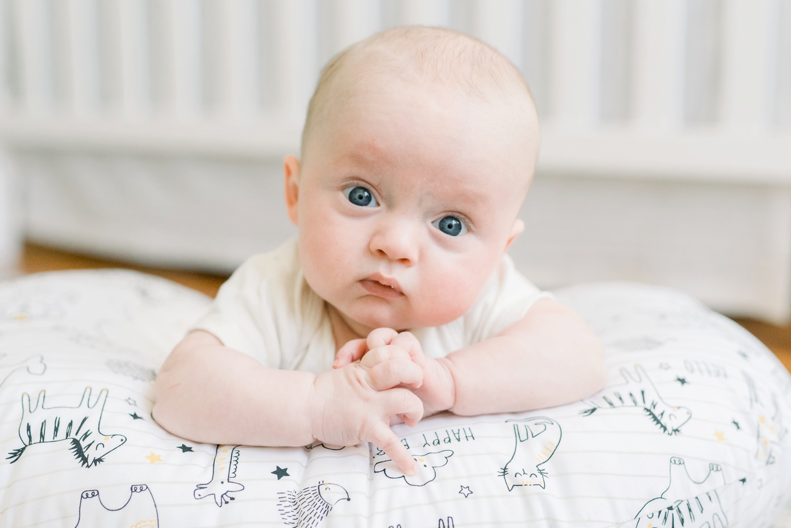 sweet-baby-james-allen-4-and-5-months-old-photo_7523.jpg