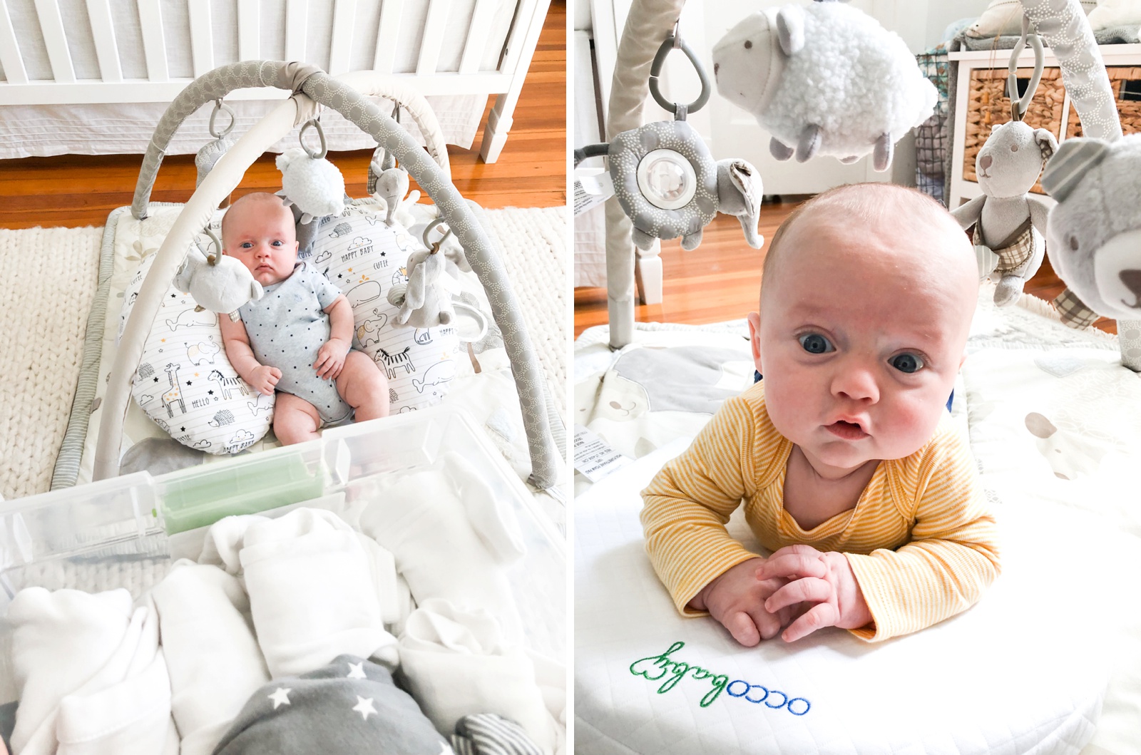 sweet-baby-james-allen-4-and-5-months-old-photo_7553.jpg