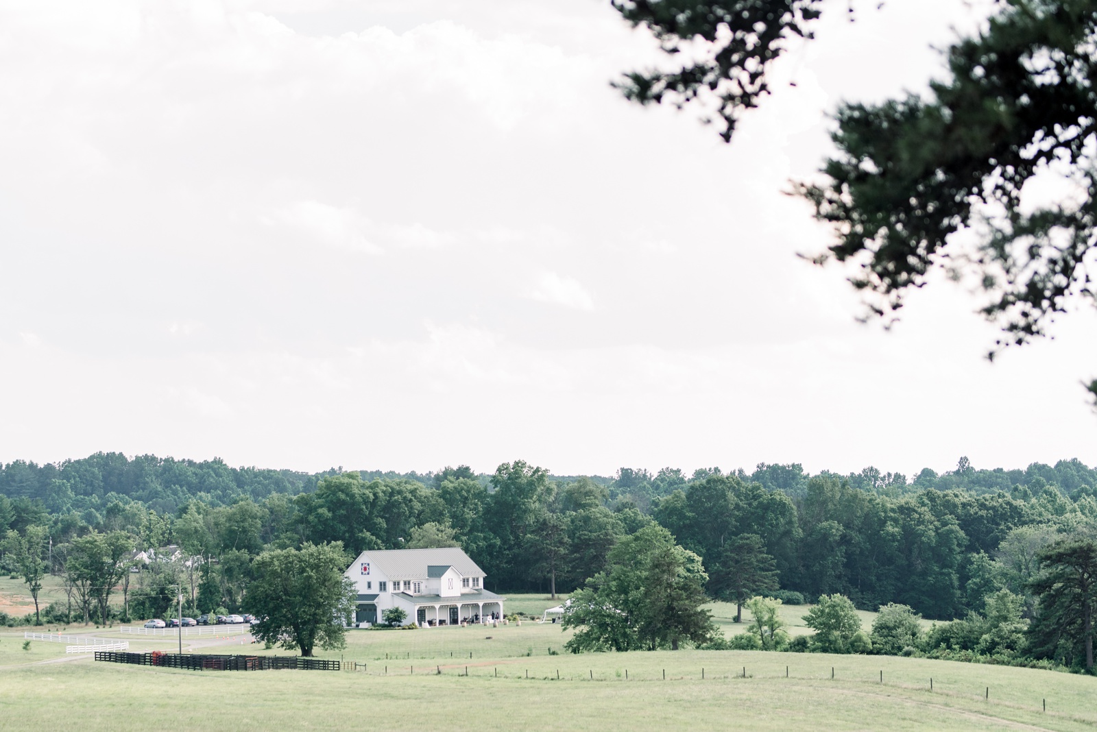 Barn-at-Edgewood-Virginia-Summer-Wedding-Photographer-Photo1276.JPG