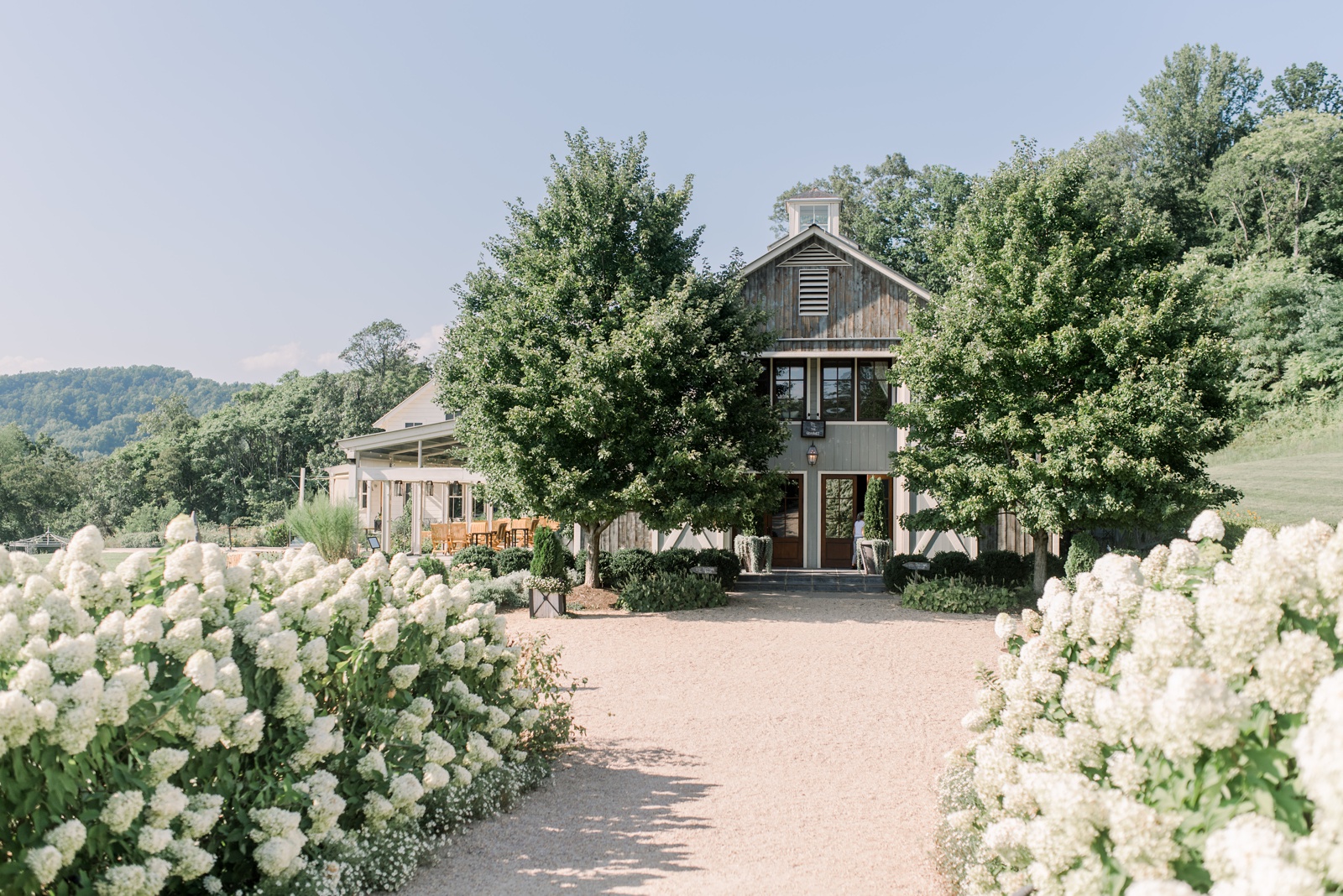 Pippin Hill Farm & Vineyards Charlottesville Virginia Summer Wedding Photographer Photo