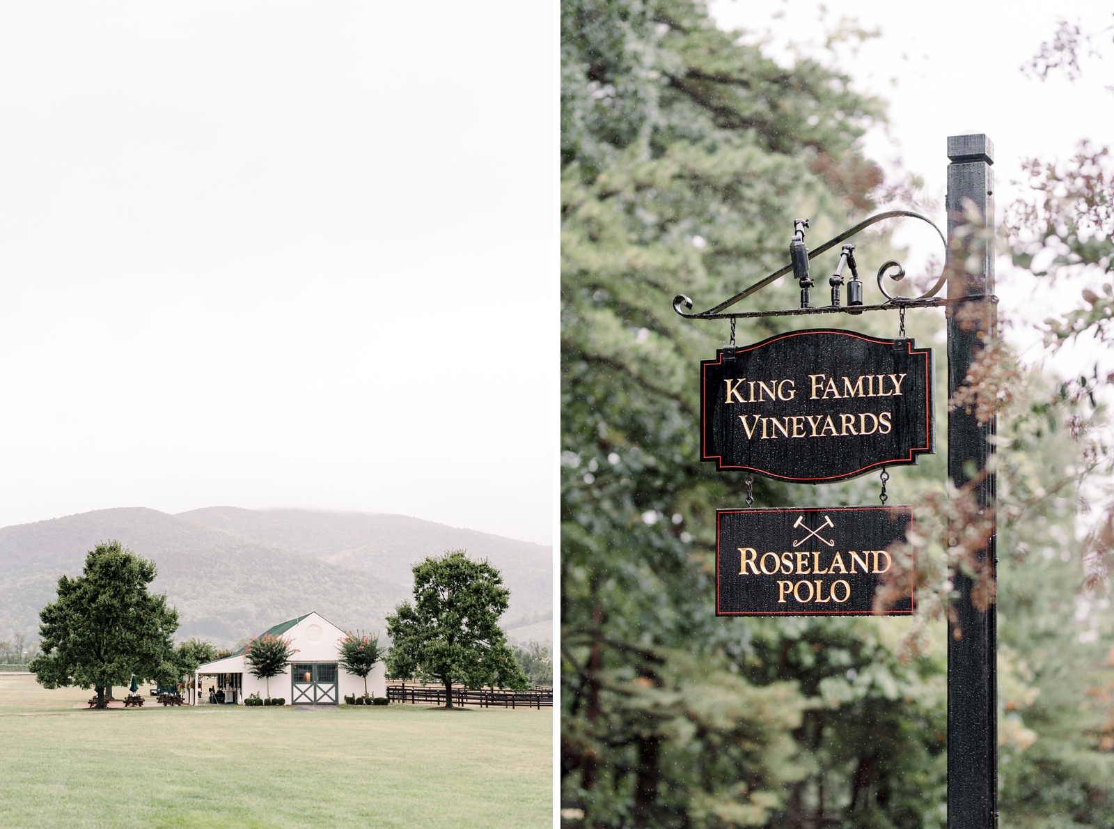 king-family-vineyards-charlottesville-va-wedding-photo_0357.jpg