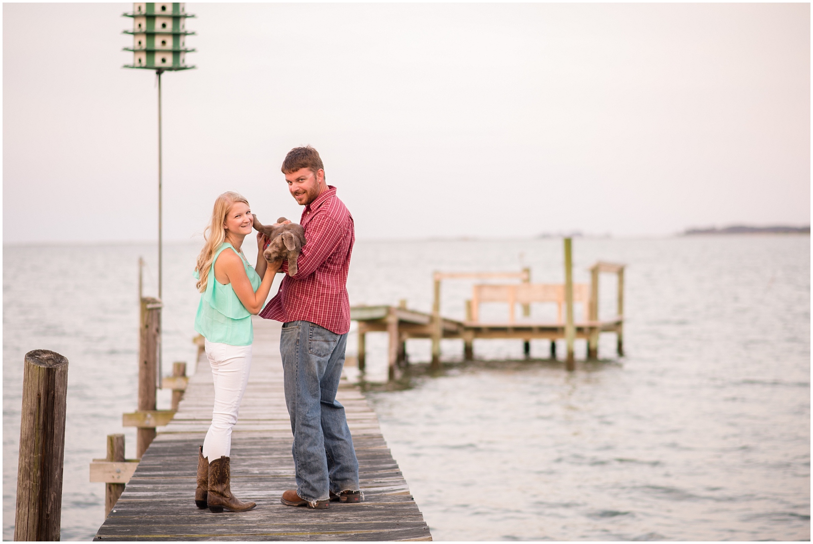 dare yorktown beach hogge silver lab puppy engagement pictures