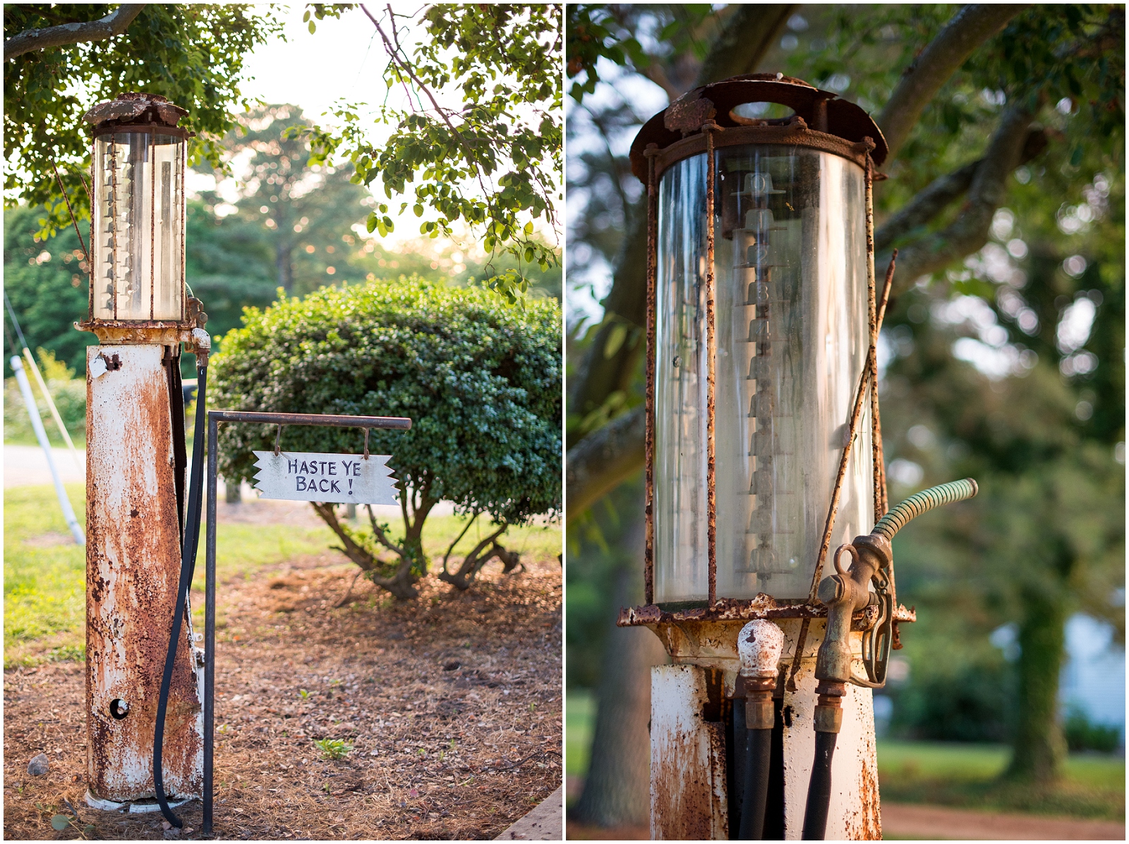 dare yorktown beach hogge silver lab puppy engagement pictures