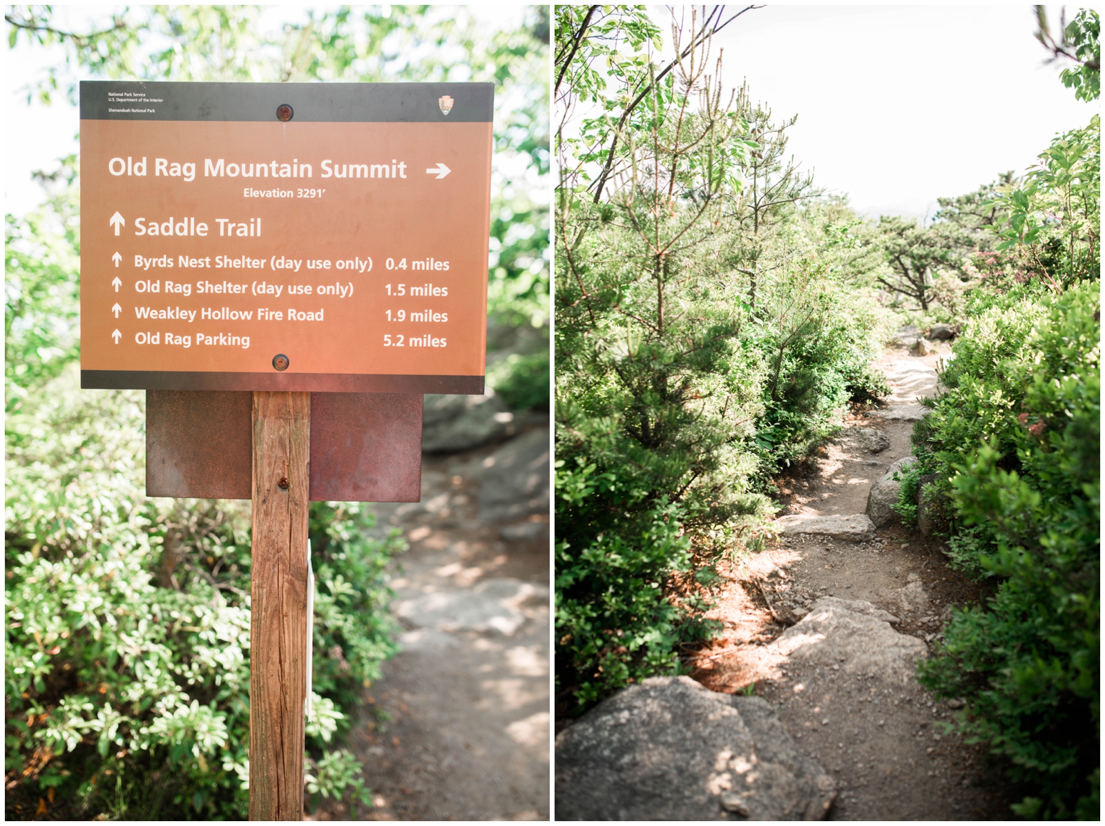 old rag mountain hike shenandoah park rock climb summit view virginia