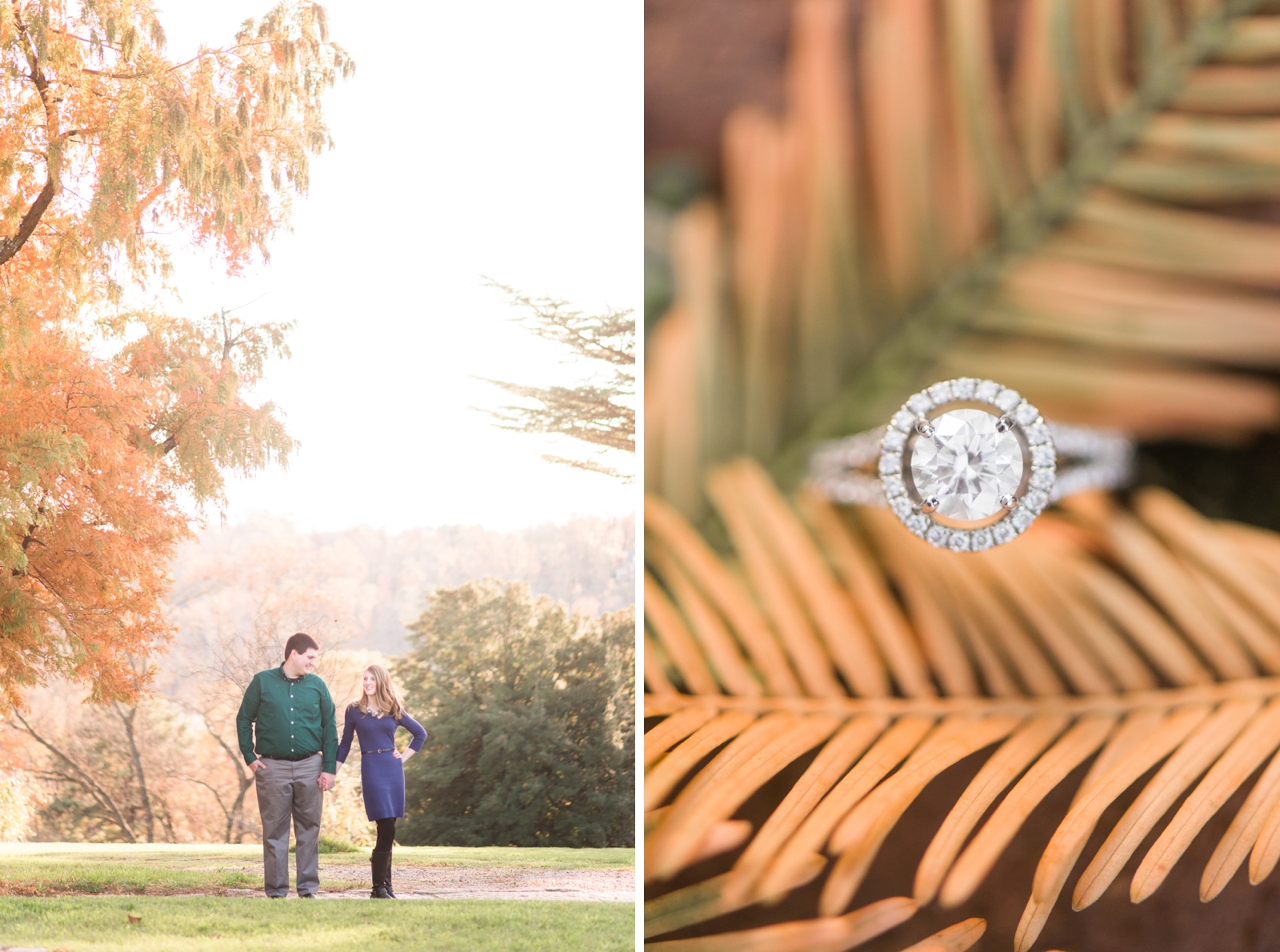 maymont richmond virginia fall engagement session by va wedding photographer