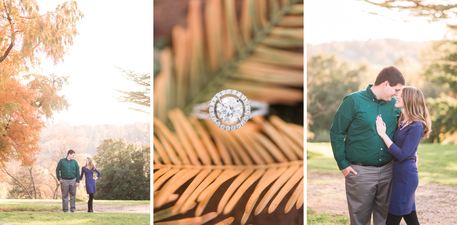 maymont richmond virginia fall engagement session by va wedding photographer