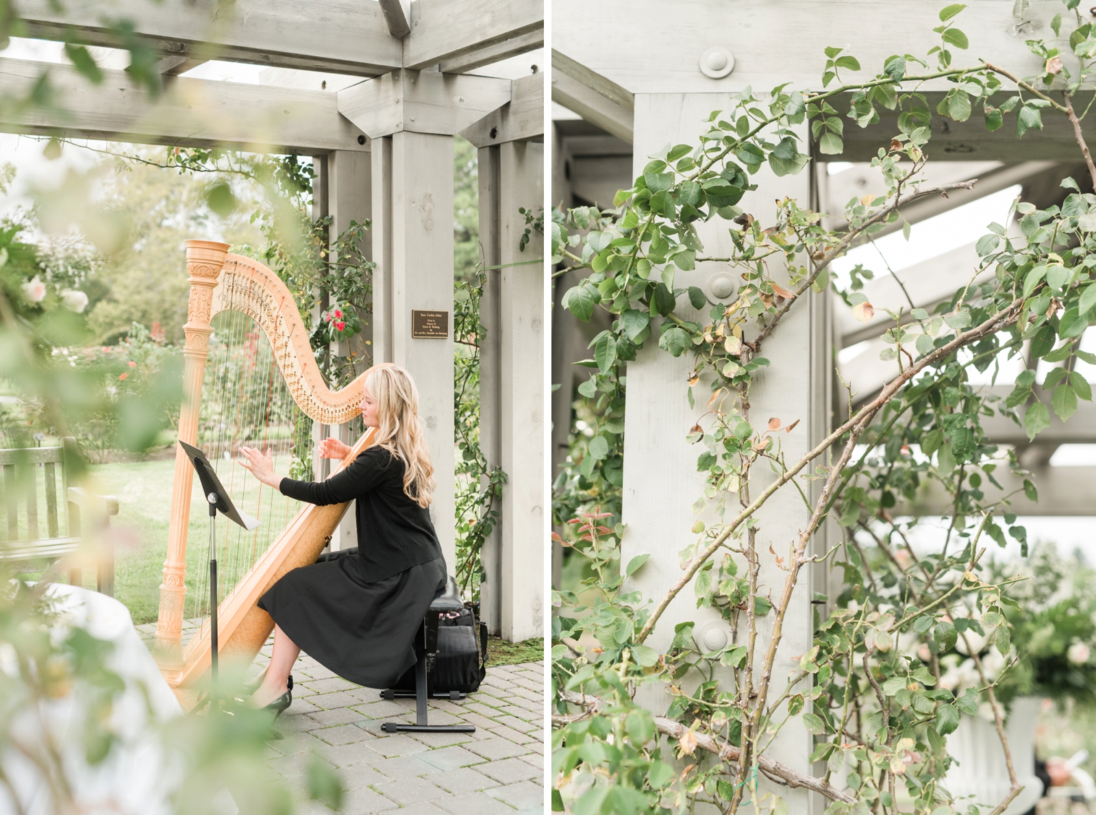 norfolk botanical gardens wedding dusty blue rustic natural elegant