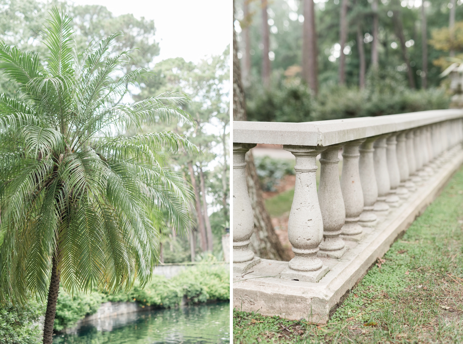 norfolk botanical gardens wedding dusty blue rustic natural elegant