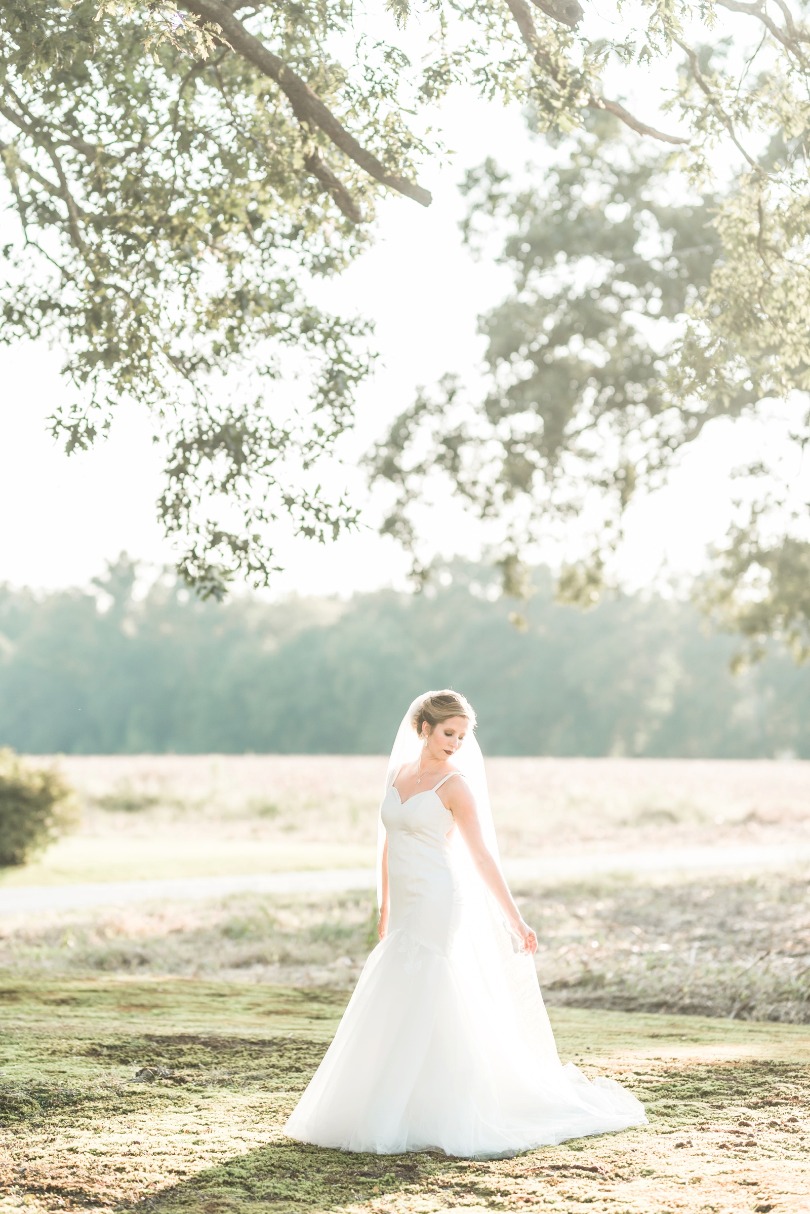 country-farm-virginia-bridal-portraits-photo_2015.jpg